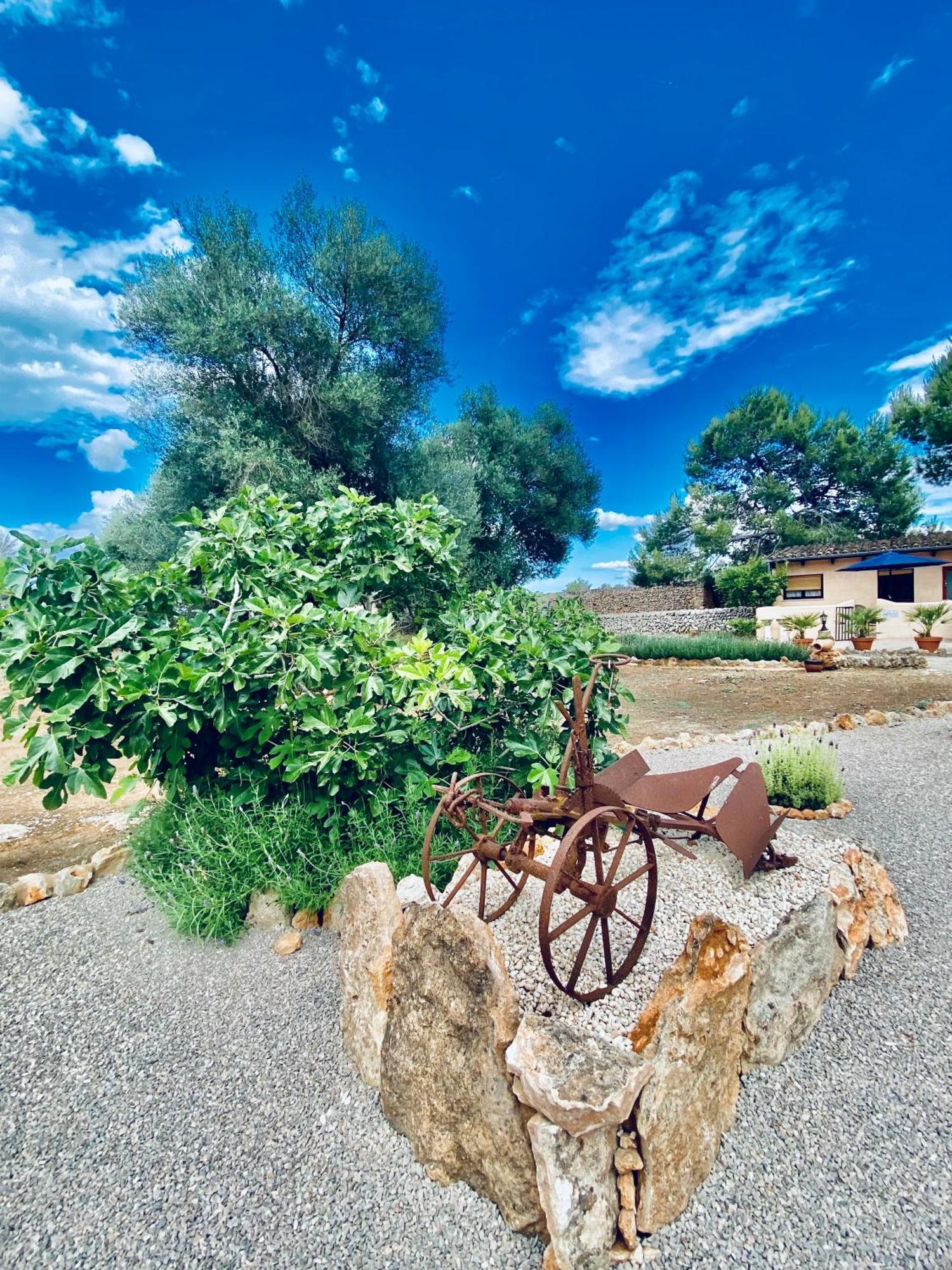 Finca Sa Canova Agroturismo Campos  Exterior photo